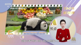 久久99精品久久久久久国产越南